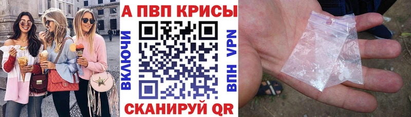 Альфа ПВП СК КРИС  Анапа 