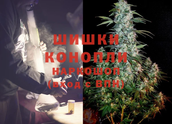 стаф Абинск