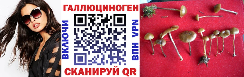 Псилоцибиновые грибы Cubensis Анапа